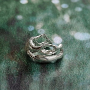 Pu&ograve; includere: Un anello d'argento dal design organico e fluido. L'anello presenta pi&ugrave; strati e spazi aperti, creando un aspetto unico e scultoreo. Il metallo lucido riflette la luce, evidenziando le curve e le trame dell'anello. L'anello &egrave; posto su uno sfondo verde sfocato.
