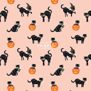 Cotton - Rifle Paper Co. Cotton and steel fabric - Black Cat Blush Metallic - 50cm