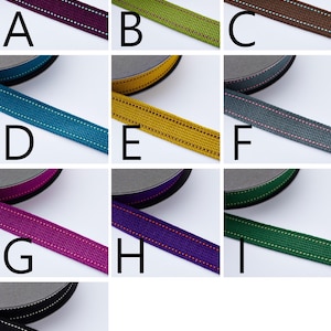 1meter - Echino 2.5cmW Polyester Webbing image 2