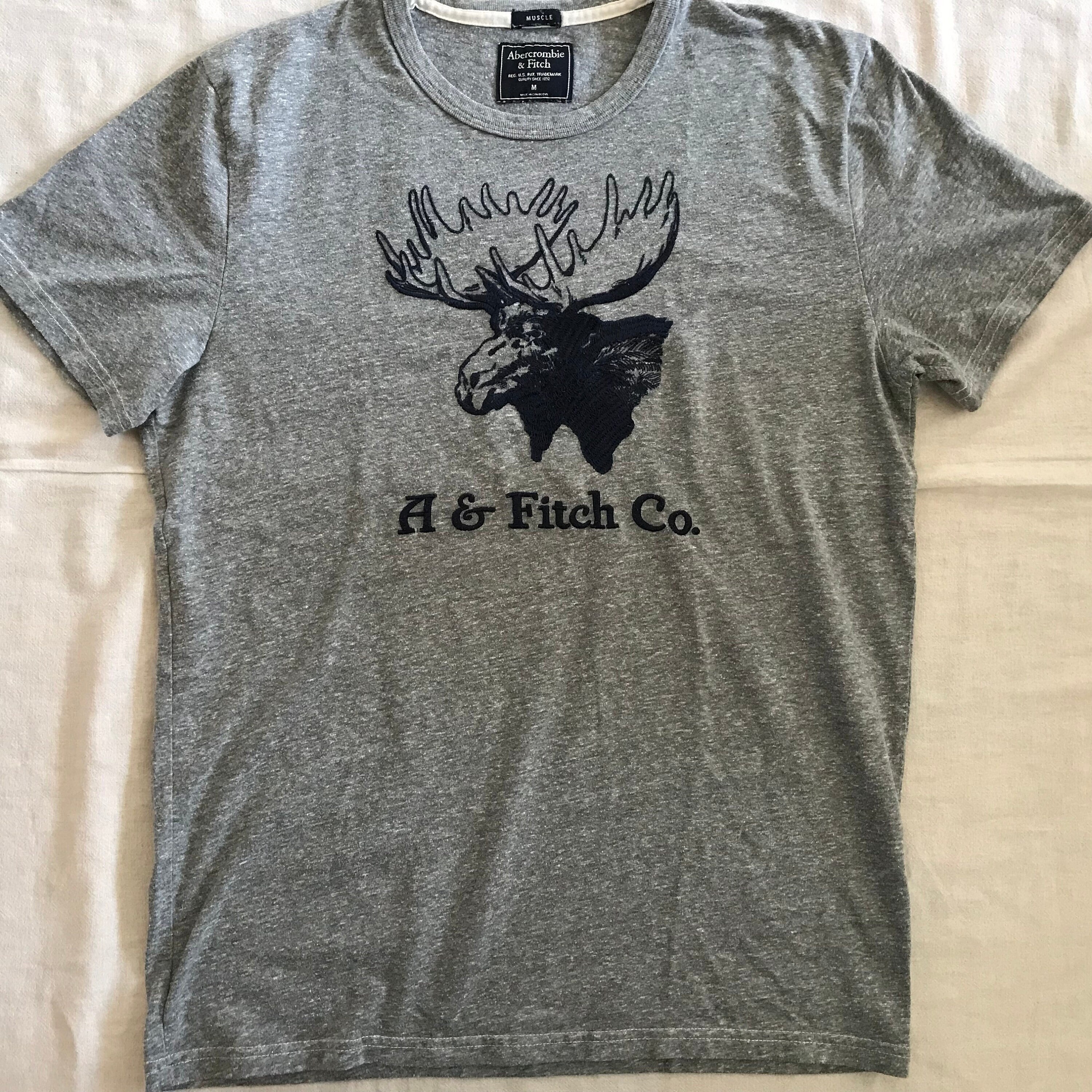 moose's mmmm tee tシャツ グレー Abercrombie and Fitch New York Men's Gray Slim Fit Muscle
