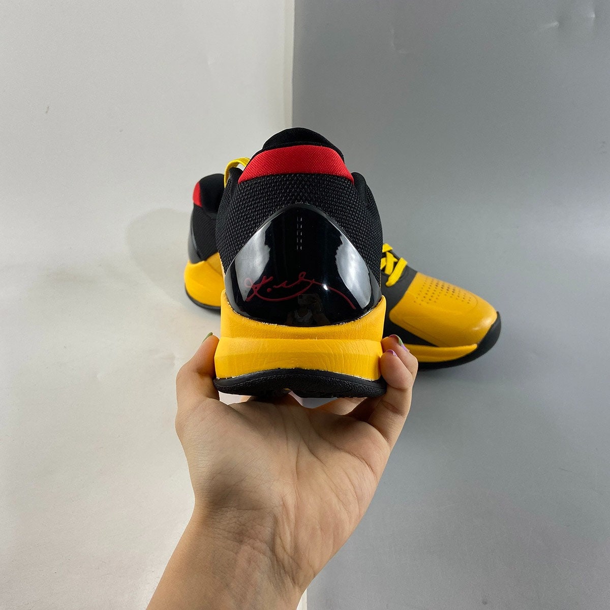 del sol kobe 5