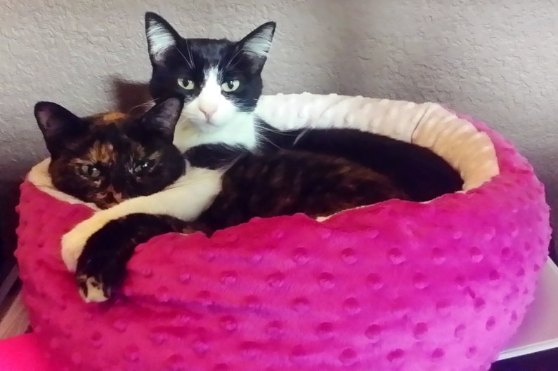 purrfection they can sleep on by Urban Feline PurrBed