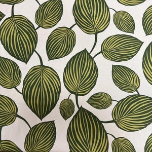 Può includere: Motivo ripetuto di foglie verdi e gialle con steli verde scuro su sfondo bianco. Le foglie hanno un design a strisce, creando un tema botanico naturale. Adatto per tessuto o carta da parati.