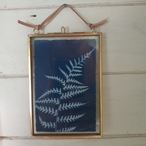 Original Cyanotype Artwork