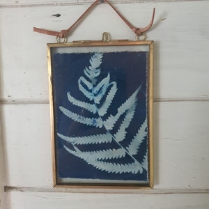 Original Cyanotype Artwork