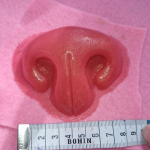 Peut inclure: Un nez en caoutchouc rouge, réaliste, pour costume ou usage théâtral. Le nez mesure environ 5 cm de large et 4 cm de haut.