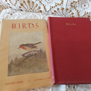 Vintage Bird Book