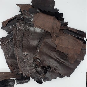 Dark Brown Exotic Leather Lizard Hide, Full Lizard Hide