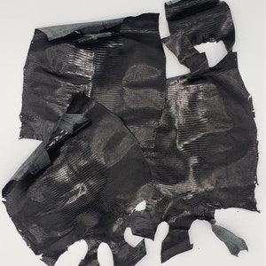 Black Exotic Leather Lizard Hide, Full Lizard Hide