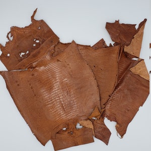 Tan/Light Brown Exotic Leather Lizard Hide, Full Cutter Lizard Hide