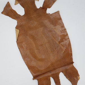 Large Tan/Brown Exotic Leather Lizard Hide, Full Lizard Hide