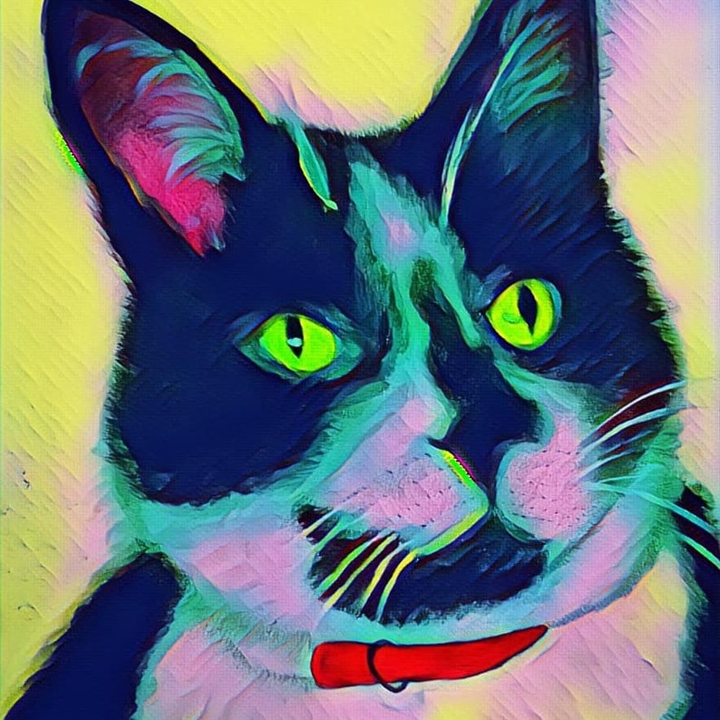 Colourful Pet Portrait Pop Art Pet Portrait Etsy