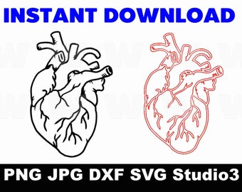 Heart JPG SVG DXF Studio3 - Cutting file - printing - Digital files Instant Download