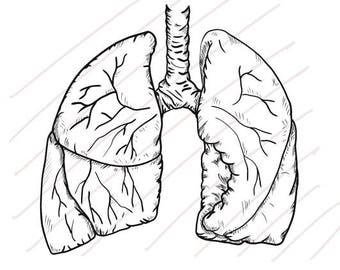 Real Human Lung Drawing - SVG/JPG Real Hand Drawing - Instant Download