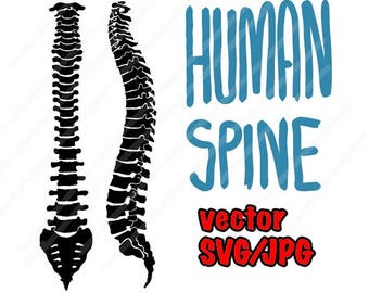 SVG/JPG/PNG Spine (Front and Side) Silhouette - Very Real Hand Drawing - Instant Download After purchased