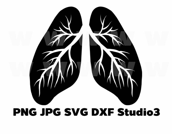 Human Lung Png Jpg Svg Dxf Studio3 Hand Drawing Vector Etsy