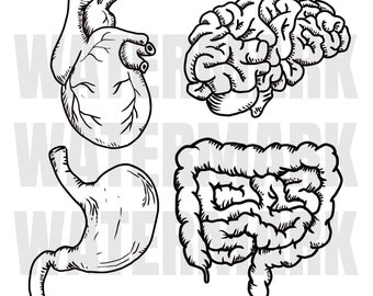 Heart+Brain+Stomach+Intestine - Human Organ - SVG/JPG/PNG Separated files - Instant Download