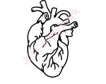 SVG/JPG/PNG Human Heart Line Drawing - Hand Drawing for printing, silhouette cameo cutting