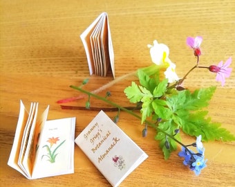 Miniature Book of Flowers - Tiny Witch's Plant Book - Dollhouse Book - 12th scale Botanical Almanack - Illustrated Witch, Fairy Flower Book