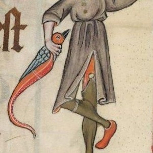 May include: A medieval illustration of a person in a brown tunic and red stockings holding a red and blue bird. The person is standing on one leg and has their other leg raised in the air. The person is wearing a red bracelet on their wrist.