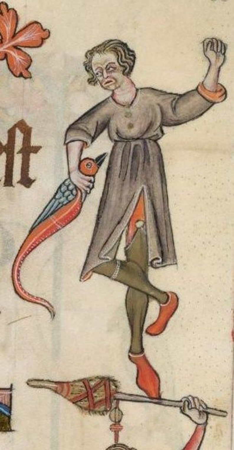 May include: A medieval illustration of a person in a brown tunic and red stockings holding a red and blue bird. The person is standing on one leg and has their other leg raised in the air. The person is wearing a red bracelet on their wrist.