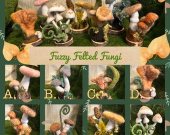 Fuzzy Felted Fungi