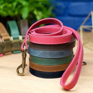 Personalized Dog Leash, Leather Dog Leash with Handle, Soft Durable Pet Leashes Pink Green Blue, Strong Dog Lead, Puppy Leash