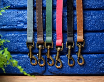Leather Dog Leash 5FT, Personalized Dog Leash with Handle, Custom Dog Leashes Black Pink Brown Green Blue, Durable Dog Lead, Dog Lover Gift