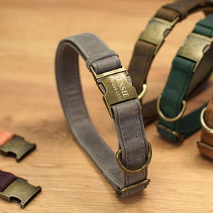 Op de afbeelding: Vier verschillende hondenriemen met metalen gespen en gegraveerde naamplaatjes. De riemen zijn grijs, groen, bruin en beige. De grijze riem heeft de naam "ESSIE" en een telefoonnummer gegraveerd op het plaatje.