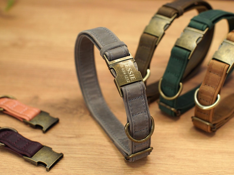 Op de afbeelding: Vier verschillende hondenriemen met metalen gespen en gegraveerde naamplaatjes. De riemen zijn grijs, groen, bruin en beige. De grijze riem heeft de naam "ESSIE" en een telefoonnummer gegraveerd op het plaatje.
