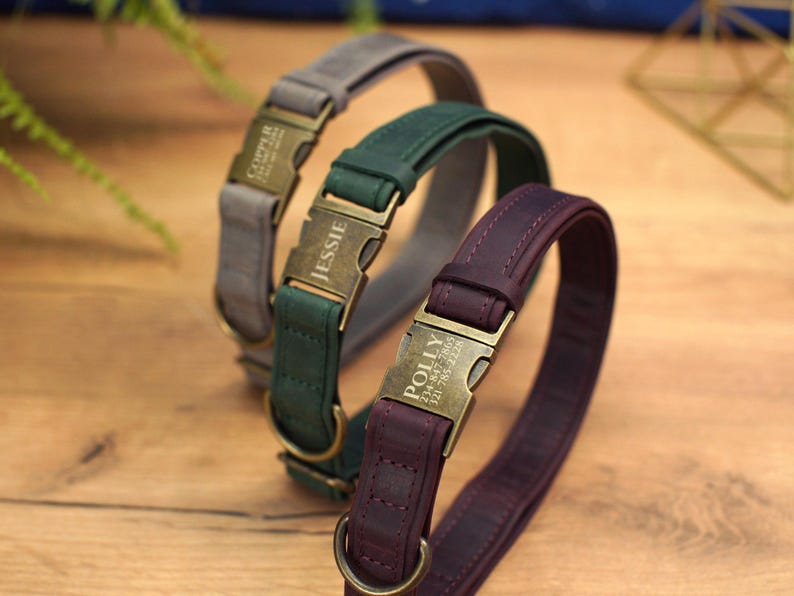 Graverade läderhalsband för hundar med namn, läderhalsband för husdjur med spänne, personligt hundhalsband, specialdesignat hundhalsband, present till husdjursägare bild 4