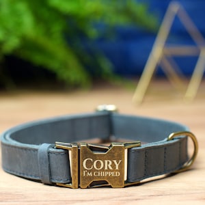 May include: A gray leather dog collar with a brass buckle engraved with the name "Cory" and the text "I'm chipped".