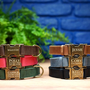 May include: Five personalized leather dog collars stacked on top of each other. The collars are brown, pink, green, gray, and black. Each collar has a gold metal buckle with a name and phone number engraved on it. The names are Winston, Polly, Copper, Cory, and Kelly.