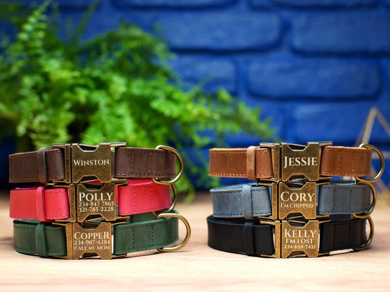 May include: Five personalized leather dog collars stacked on top of each other. The collars are brown, pink, green, gray, and black. Each collar has a gold metal buckle with a name and phone number engraved on it. The names are Winston, Polly, Copper, Cory, and Kelly.