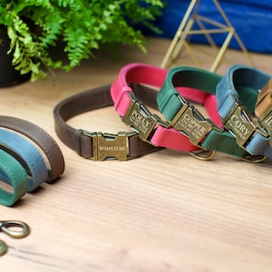 Puede incluir: Un conjunto de seis collares de perro de cuero en varios colores, cada uno con una hebilla de lat&oacute;n personalizada. Los collares est&aacute;n dispuestos en una fila sobre una superficie de madera. Las hebillas presentan nombres grabados, incluyendo "Winston", "Polly", "Copper", "Cory", "Jessie" y "Katie".