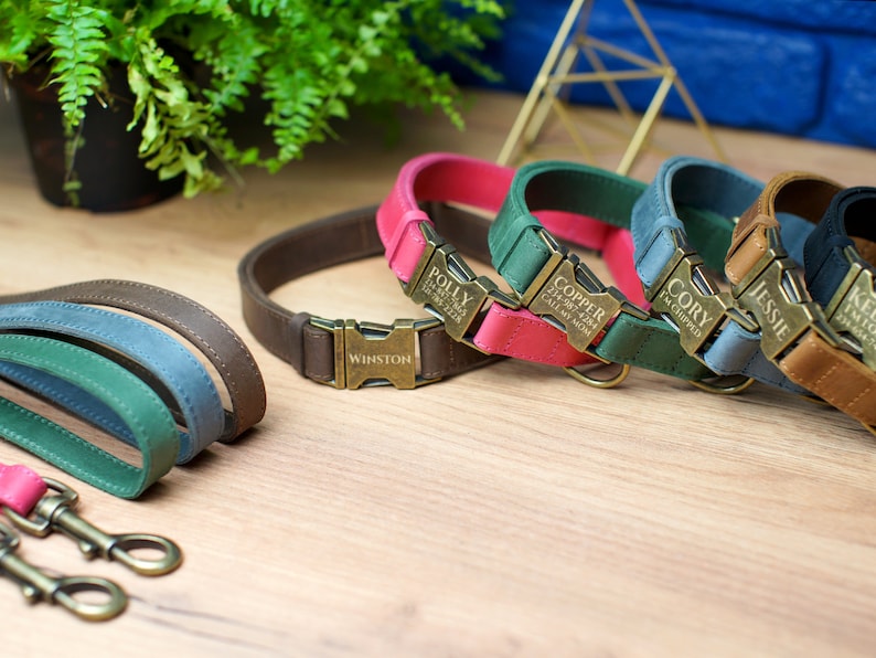 Puede incluir: Un conjunto de seis collares de perro de cuero en varios colores, cada uno con una hebilla de lat&oacute;n personalizada. Los collares est&aacute;n dispuestos en una fila sobre una superficie de madera. Las hebillas presentan nombres grabados, incluyendo "Winston", "Polly", "Copper", "Cory", "Jessie" y "Katie".
