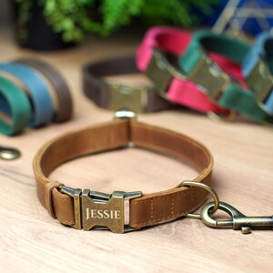Puede incluir: Un collar de perro de cuero marr&oacute;n con una hebilla de lat&oacute;n y una placa de nombre personalizada que dice "JESSIE". El collar est&aacute; unido a un clip de correa de lat&oacute;n.
