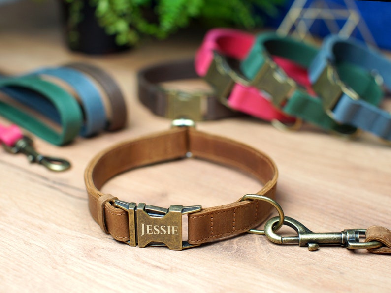 Puede incluir: Un collar de perro de cuero marr&oacute;n con una hebilla de lat&oacute;n y una placa de nombre personalizada que dice "JESSIE". El collar est&aacute; unido a un clip de correa de lat&oacute;n.