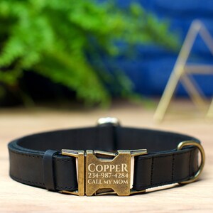 May include: Black leather dog collar with a gold metal buckle. The buckle is engraved with the name "COPPER" and the phone number "234-987-4284" along with the text "CALL MY MOM".