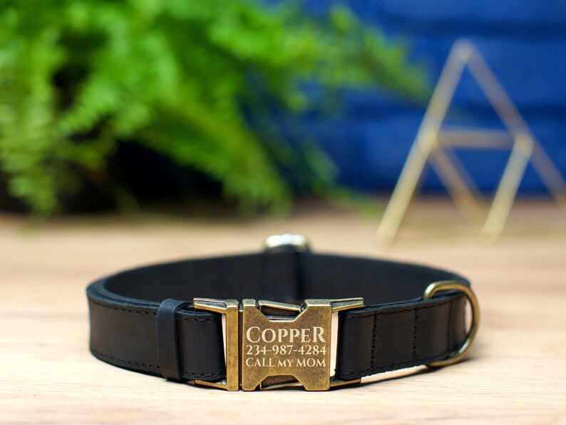 May include: Black leather dog collar with a gold metal buckle. The buckle is engraved with the name "COPPER" and the phone number "234-987-4284" along with the text "CALL MY MOM".