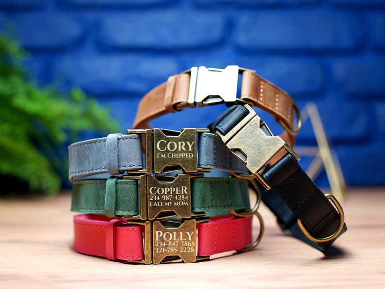 May include: Four personalized dog collars stacked on top of each other. The collars are made of different materials and colors, including brown leather, black leather, green suede, and blue suede. Each collar has a brass buckle with engraved text, including the names "Cory", "Copper", "Polly", and phone numbers.