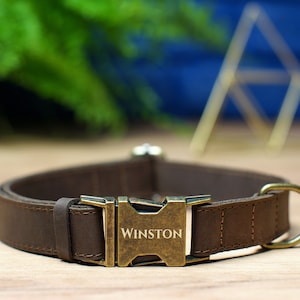 May include: A brown leather dog collar with a brass buckle and the name "Winston" engraved on it.