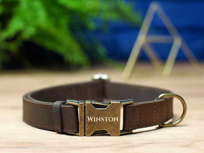 May include: A brown leather dog collar with a brass buckle and the name "Winston" engraved on it.