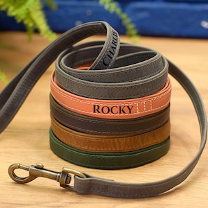 Personalized Leather Dog Leash, Custom Dog Leashes, Engraved Leather Dog Lead, Durable Dog Leash with Handle, Cute Puppy Leash