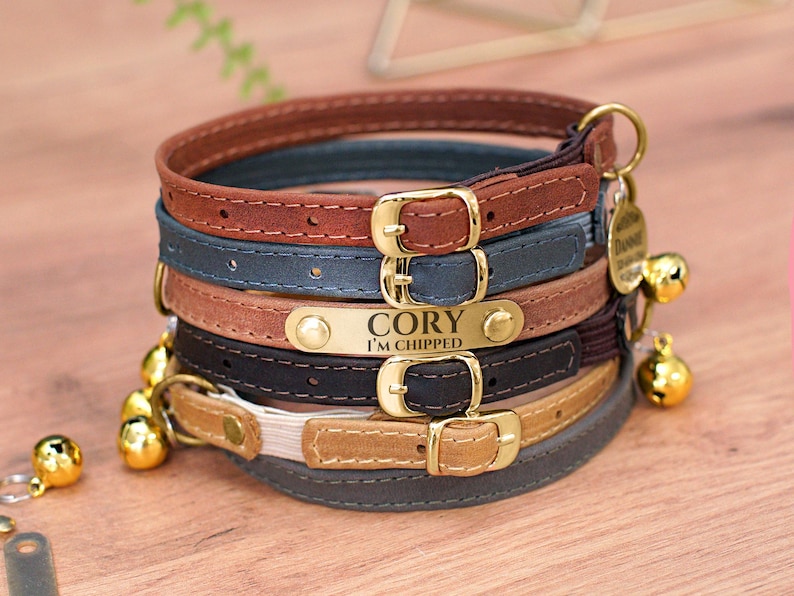 May include: A stack of five leather cat collars in various colors, including brown, blue, black, and tan. The collars have gold buckles and a gold name tag that reads "Cory I'm chipped".