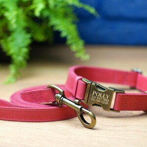 Puede incluir: Un collar y una correa para perro de cuero rosa con una hebilla de metal dorado y una etiqueta de nombre personalizada que dice "POLLY" con n&uacute;meros de tel&eacute;fono.