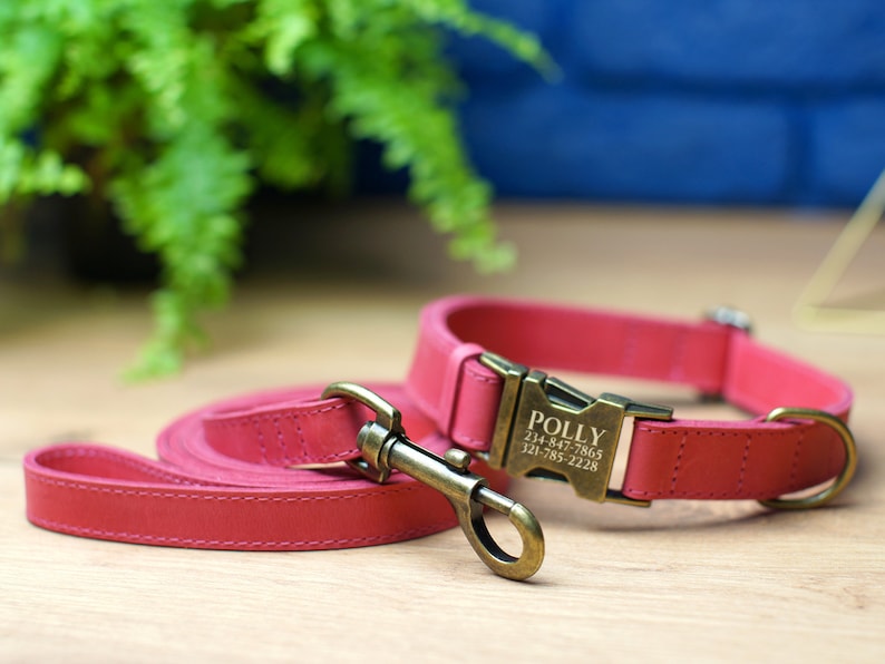 Puede incluir: Un collar y una correa para perro de cuero rosa con una hebilla de metal dorado y una etiqueta de nombre personalizada que dice "POLLY" con n&uacute;meros de tel&eacute;fono.