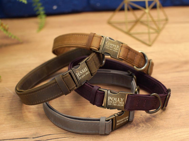 Graverade läderhalsband för hundar med namn, läderhalsband för husdjur med spänne, personligt hundhalsband, specialdesignat hundhalsband, present till husdjursägare bild 7