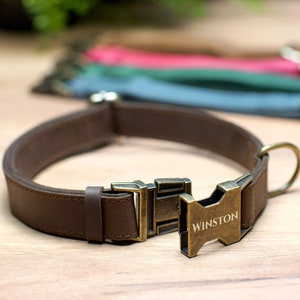 May include: A brown leather dog collar with a brass buckle engraved with the name "WINSTON".