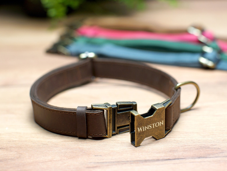 May include: A brown leather dog collar with a brass buckle engraved with the name "WINSTON".